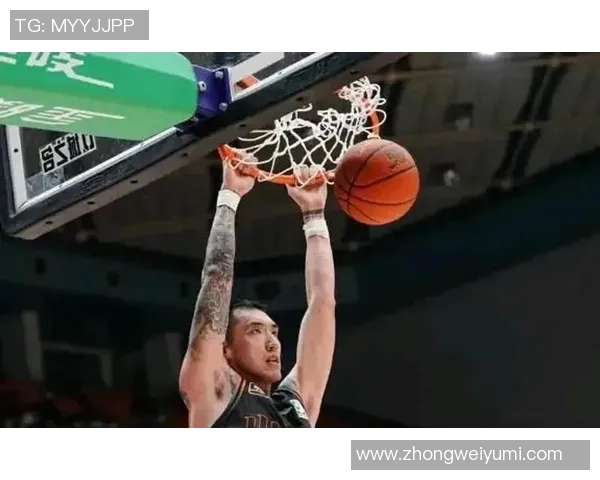 陶汉林：从篮球场上的拼搏到生活中的坚持与成长